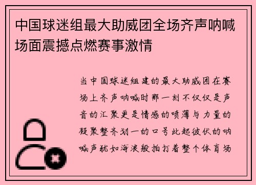 中国球迷组最大助威团全场齐声呐喊场面震撼点燃赛事激情